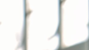 Si buscas una casa, pero no sabes si comprar o rentar, debes revisar tu vida.