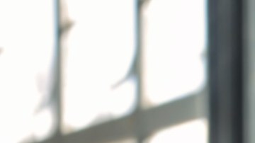 Si buscas una casa, pero no sabes si comprar o rentar, debes revisar tu vida.