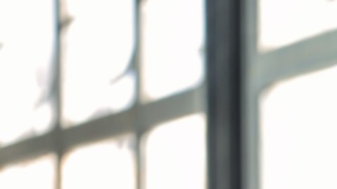 Si buscas una casa, pero no sabes si comprar o rentar, debes revisar tu vida.