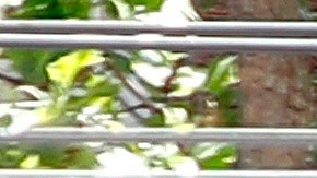 Una persona pasa por una tienda minorista de Old Navy cerrada en San Francisco, California, el 29 de abril de 2020.