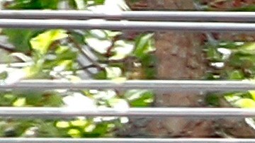 Una persona pasa por una tienda minorista de Old Navy cerrada en San Francisco, California, el 29 de abril de 2020.