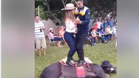 Los chicos bailan encima del animal.