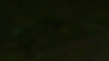 Involucra a todos los miembros de la familia y pasen un rato muy divertido en casa.