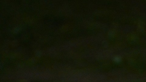 Involucra a todos los miembros de la familia y pasen un rato muy divertido en casa.