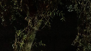 El poco dinero que les quedaba lo invirtieron en la tienda de campaña.