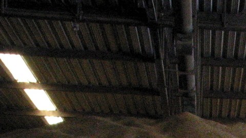 El Gobierno mexicano quiere evitar una crisis alimentaria.