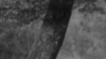 La fabricación del Volkswagen Sedan se planeó para convertirse en el auto del pueblo alemán.