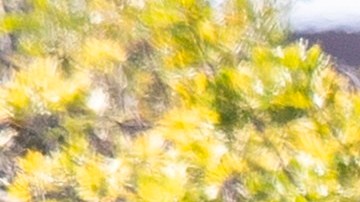 California está realizando más pruebas de coronavirus.