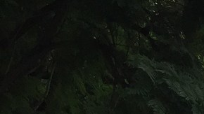 El Centro Médico Siglo XXI, en Ciudad de México.