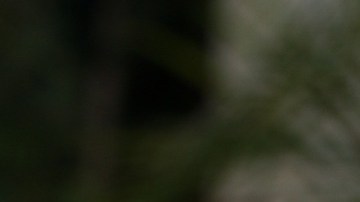 Expertos opinan que es el momento ideal para volver a conectar con los hijos en edad adolescente.