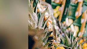 Toma tus debidas precauciones cuando vayas a reabastecerte de víveres.