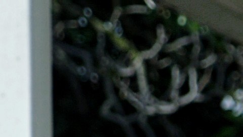 Emma es una trabajadora del cuidado de salud indocumentada.