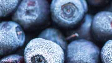 cr-health-inlinehero-frozen-food-worth-freezer-space-03-19