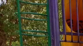 Los parques del centro de la ciudad lucen vacíos.