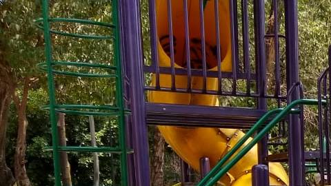 Los parques del centro de la ciudad lucen vacíos.