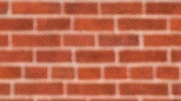 Protesta para reabrir la economía