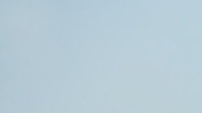 El diente de león es una maleza que ayuda a tu jardín y hasta le puede dar belleza.