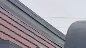 Trabajadores de Domino's se van a huelga por el coronavirus. (Suministrada)