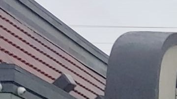 Trabajadores de Domino's se van a huelga por el coronavirus. (Suministrada)