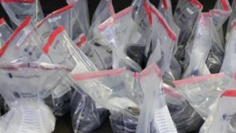 Las drogas interceptadas.