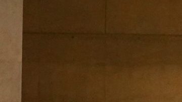 Durante la pandemia las iglesias están celebrando sus misas sin feligreses presentes. (Catedral de Los Ángeles)