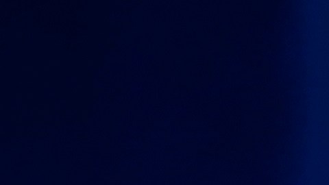 Trump dijo que no quería sembrar el pánico.