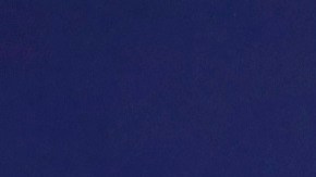 Trump muestra datos que sugieren que el virus muere más rápido sobre superficies expuestas al calor.