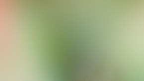 Escaramujo-Stux-Pixabay