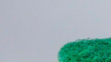 De seguro, estás cometiendo muchos de estos errores con la esponja de cocina.