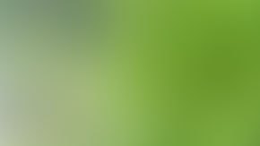 Los tres miembros de la familia fallecidos vivían en el sur de la Florida.