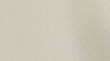 Es poco probable que un gato doméstico transmita el virus.