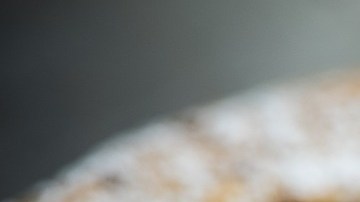 galleta-Pezibear en Pixabay