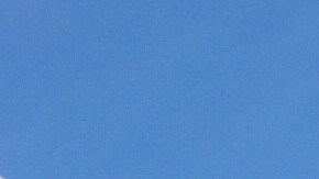 Los gatos son animales territoriales que gustan salirse de casa.