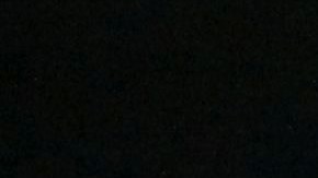 Los gatos son animales independientes que pueden sentirse invadidos ante la presencia humana por 24 horas.