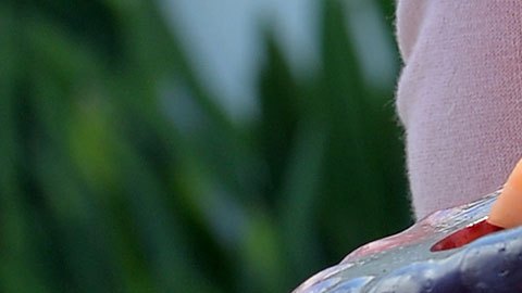 Su sabor encanta a muchas personas, pero sus ingredientes distan mucho de su característica dulzura.