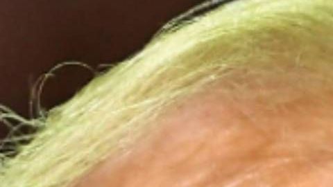 Trump y el senador McConnell