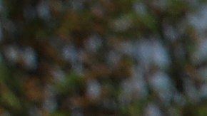 Los resultados del Censo, ayudan a saber el número de legisladores que cada estado tendrá en el Congreso.