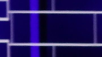 Joe Biden y Bernie Sanders.