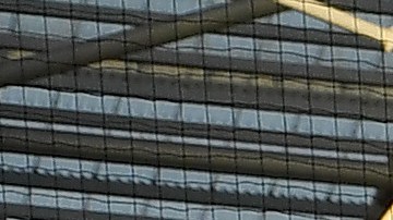 El Estadio Olímpico Reina Isabel recibiría los partidos.