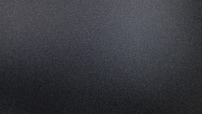 Arnold Schwarzenegger.