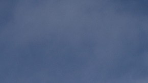 Walmart coronavirus muerte COVID-19 abogados distanciamiento social Wando Evans Illinois