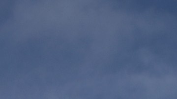 Walmart coronavirus muerte COVID-19 abogados distanciamiento social Wando Evans Illinois