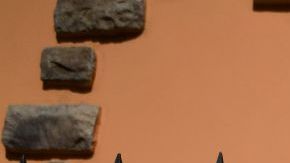 Coronavirus arcoiris