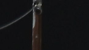 Desempleo seguro finanzas coronavirus COVID-19 seguro de desempleo