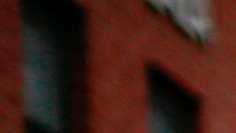 Nueva York Coronavirus COVID-19 CUNY encuesta