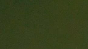 Coronavirus seguro médico COVID-19 dólares