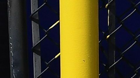 Nueva York es la entidad con más muertos por coronavirus.