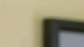 Bernie Sanders Joe Biden Donald Trump mercados coronavirus dinero