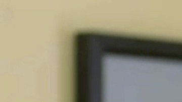 Bernie Sanders Joe Biden Donald Trump mercados coronavirus dinero