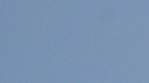 Coronavirus en cruceros